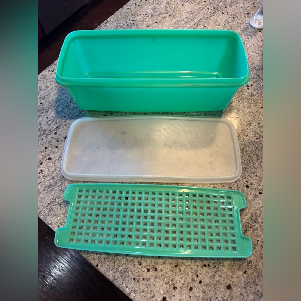 Vintage Tupperware Celery Container with Lid and Tray